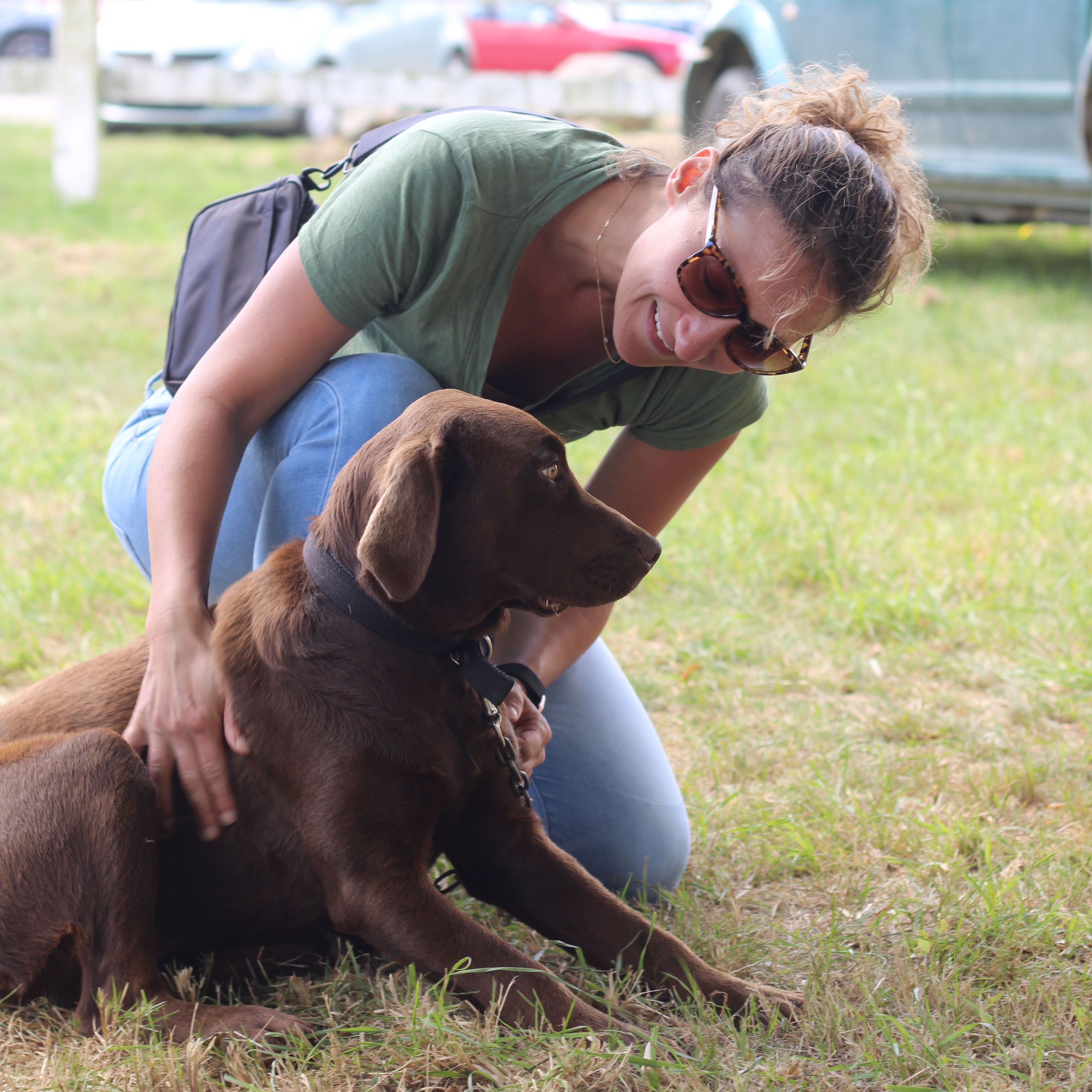 dr thomas caring for a farm dog dr thomas caring for a farm dog
