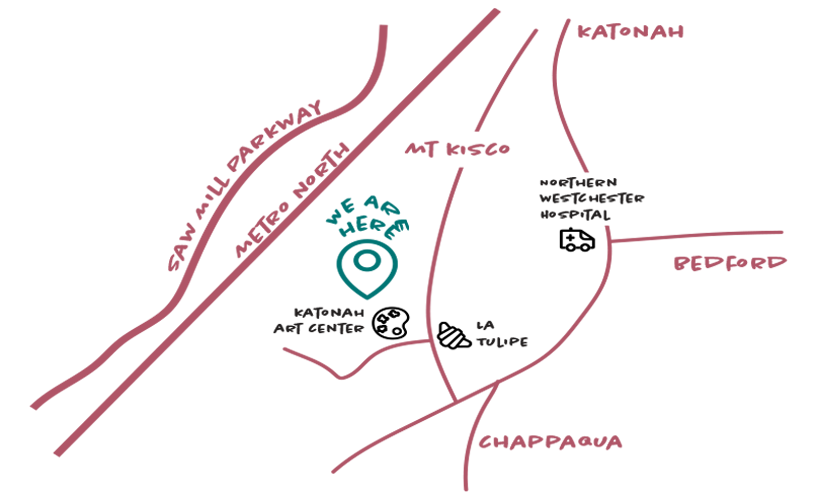 Map of mount kisco indicating healing paws veterinary center is