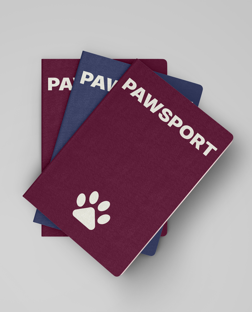 pet passport for travel pet passport for travel