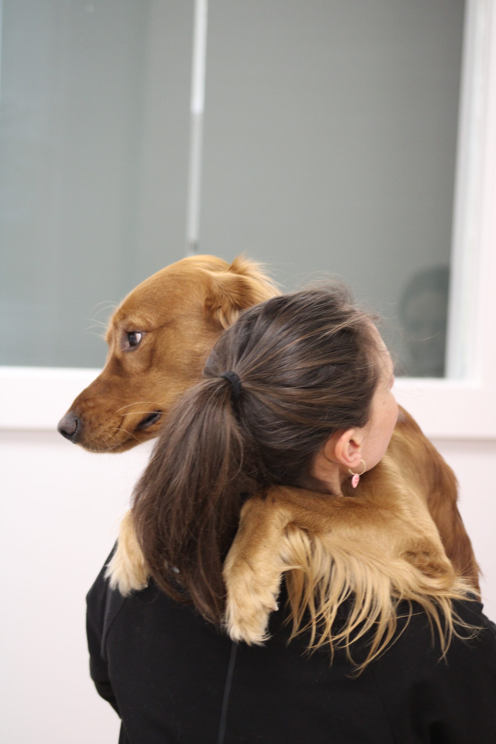 Dr. Thomas gently holding and cuddling a friendly dog during a veterinary visit.
