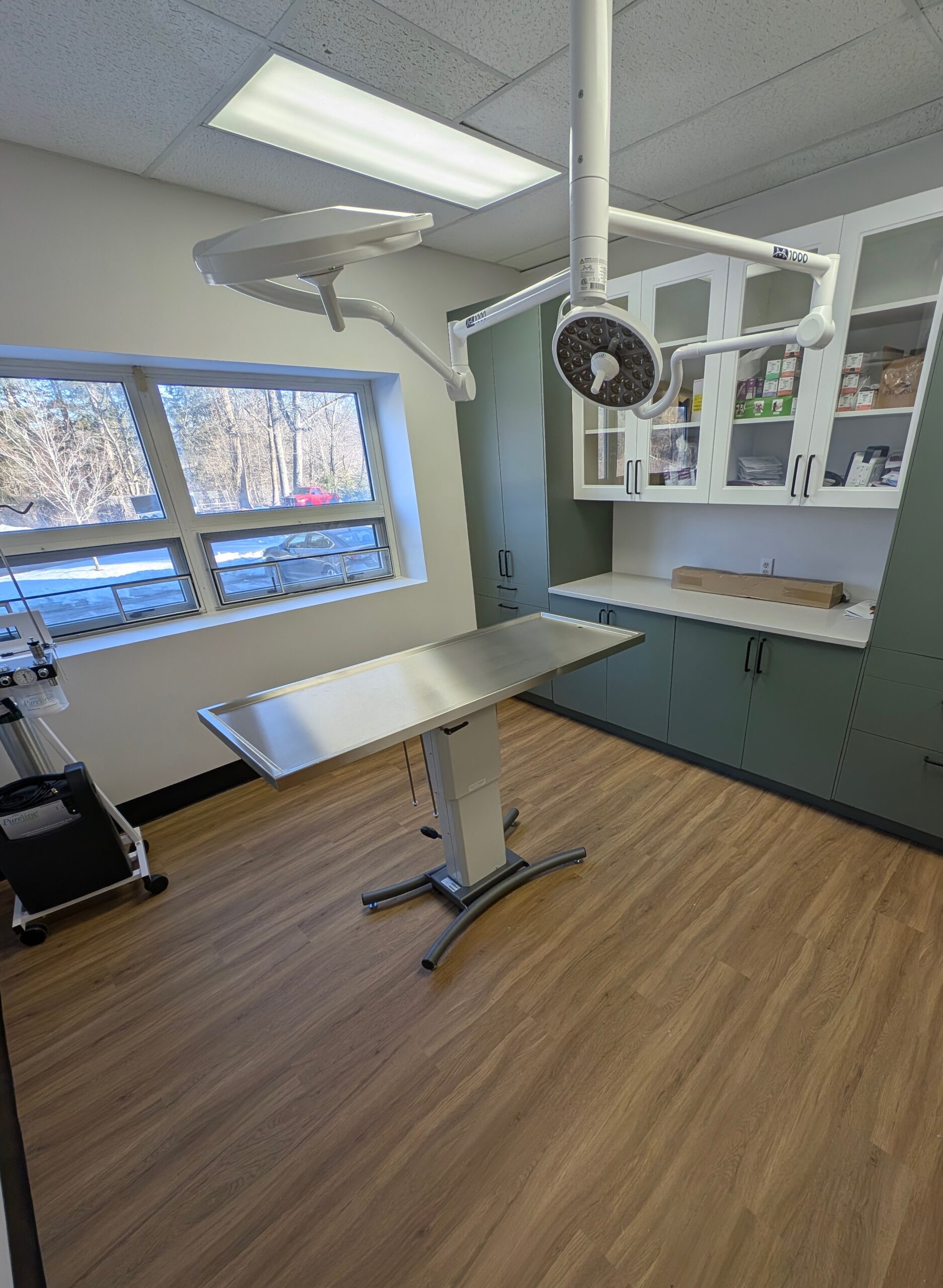 Modern veterinary surgical suite with sterile equipment, surgical lighting, and advanced monitoring technology for pet procedures.