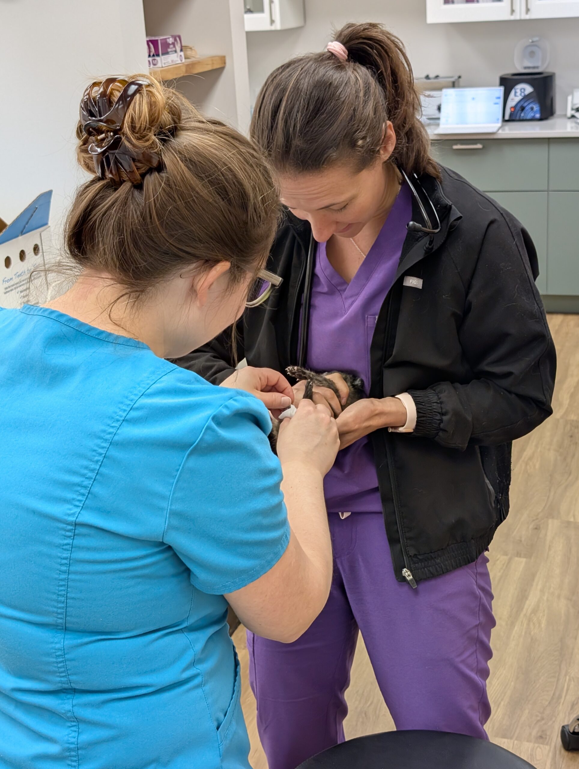 Dr. Lindsey Thomas and Dr. Valerie Carril Caring for a Neonatal Kitten