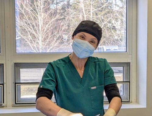 Built With Heart: Why Two Veterinarians Walked Away from corporate to Build their own hospital