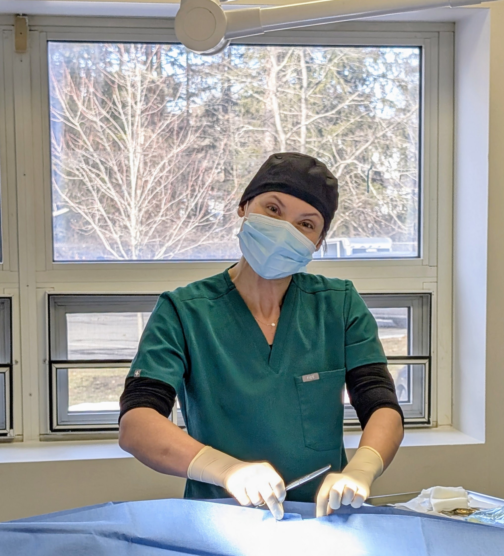 Dr. Lindsey Thomas preparing for a veterinary surgery procedure at Healing Paws Veterinary Center in Mount Kisco, NY.