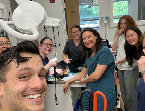 Mount Kisco Supply Helps Veterinary Team During Emergency