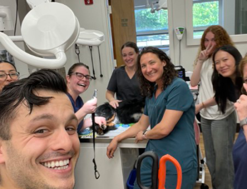 Mount Kisco Supply Helps Veterinary Team During Emergency
